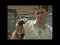 Ferrets and Ferreting - With Simon Whitehead (Trailer for DVD)