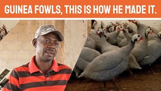 From Being Unemployed Polytechnic Graduate To A Successful Millionaire Guinea Fowl Breeder\Hatcher