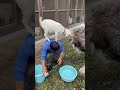 情報量が多すぎる