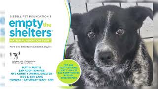 04/30/2025 Empty the Shelters Event Begins Tomorrow