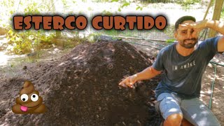 Como Curtir Esterco Bovino