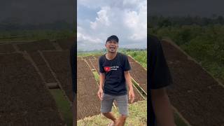 Download Lagu ada yg cemburu #comedy MP3