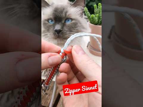 How to do a Zipper Sinnet Paracord Bracelets #diy #howto #shorts #youtubeshorts #tutorial