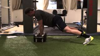 2DB Front Plank Alternate Row to Push Up