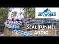 Sea world jet rescue ride audio source