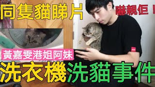 虐貓洗衣機|黃嘉雯胞姊疑虐貓|測試我隻貓睇完條片嘅反應！嚇親我隻貓？