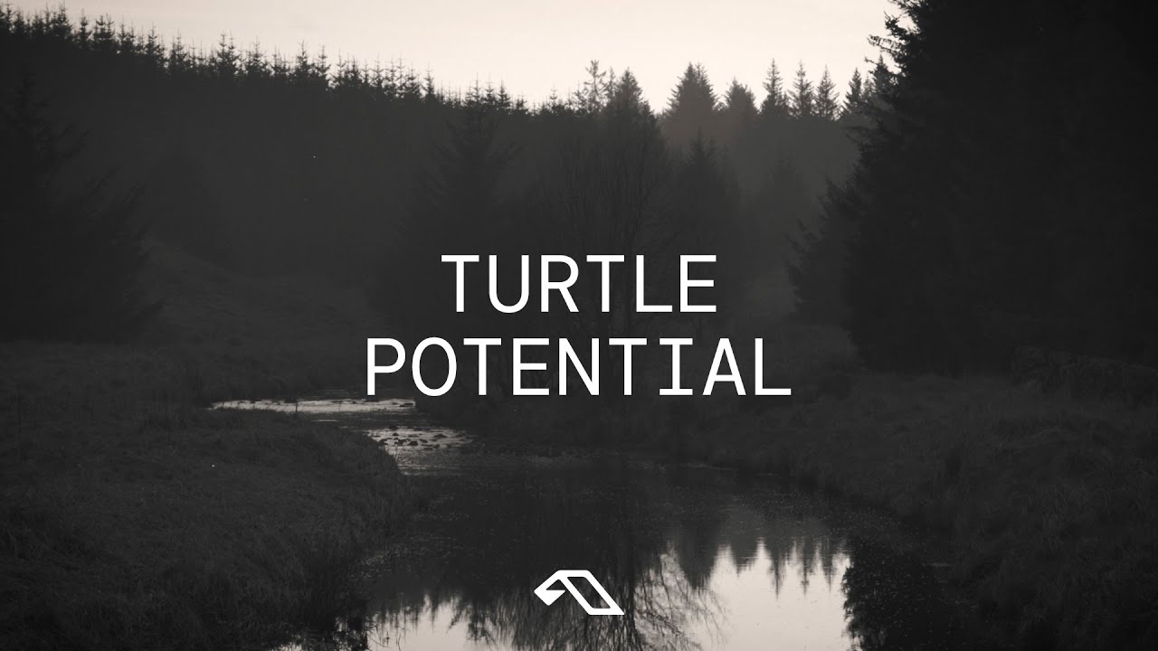 Watch Turtle - Potential on YouTube Watch Turtle - Potential on YouTube