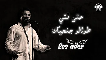 Cheb Khaled - Les ailes (Paroles / Lyrics) | (الشاب خالد - حتى انتي طوالو جنحيك (الكلمات