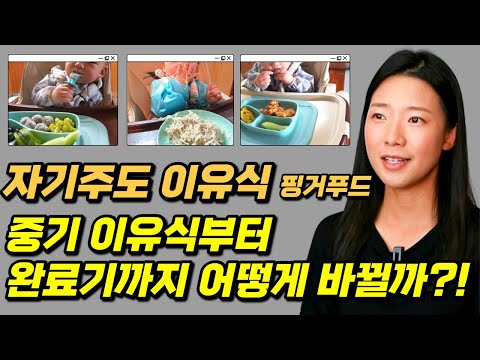 중기이유식부터 완료기이유식까지 진행방법. 👉 자기주도이유식, 핑거푸드를 시작하려고 하시나요?