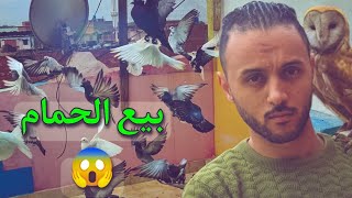 بيع الحمام واشتري ...؟؟!!.🤦🏼‍♂️(كومنتات المتابعين )صدمة