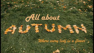 Best season to go for a walk | All about Autumn | autumn weather I Colours of fall |learn seasons