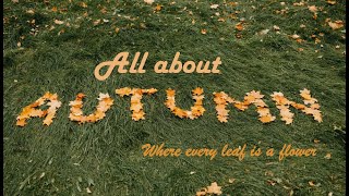 Best season to go for a walk | All about Autumn | autumn weather I Colours of fall