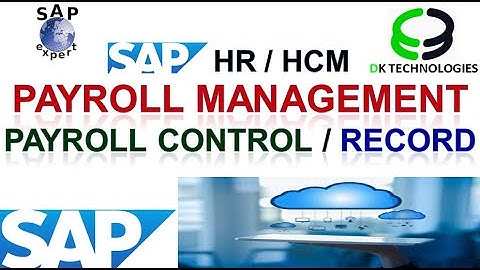 How to Configure Payroll control Record in sap | How to Configure Payroll Process | DK TECHNOLOGIES
