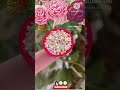 #Amazing 😱crafting# #miniture #tranding#viral# kids#diy#cookwaressets# arts