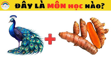 Câu Đố Đuổi Hình Bắt Chữ Đoán Tên Các Môn Học Chỉ Dành Cho Học Sinh Giỏi Mới Trả Lời Được