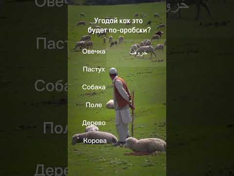 Угадай как это