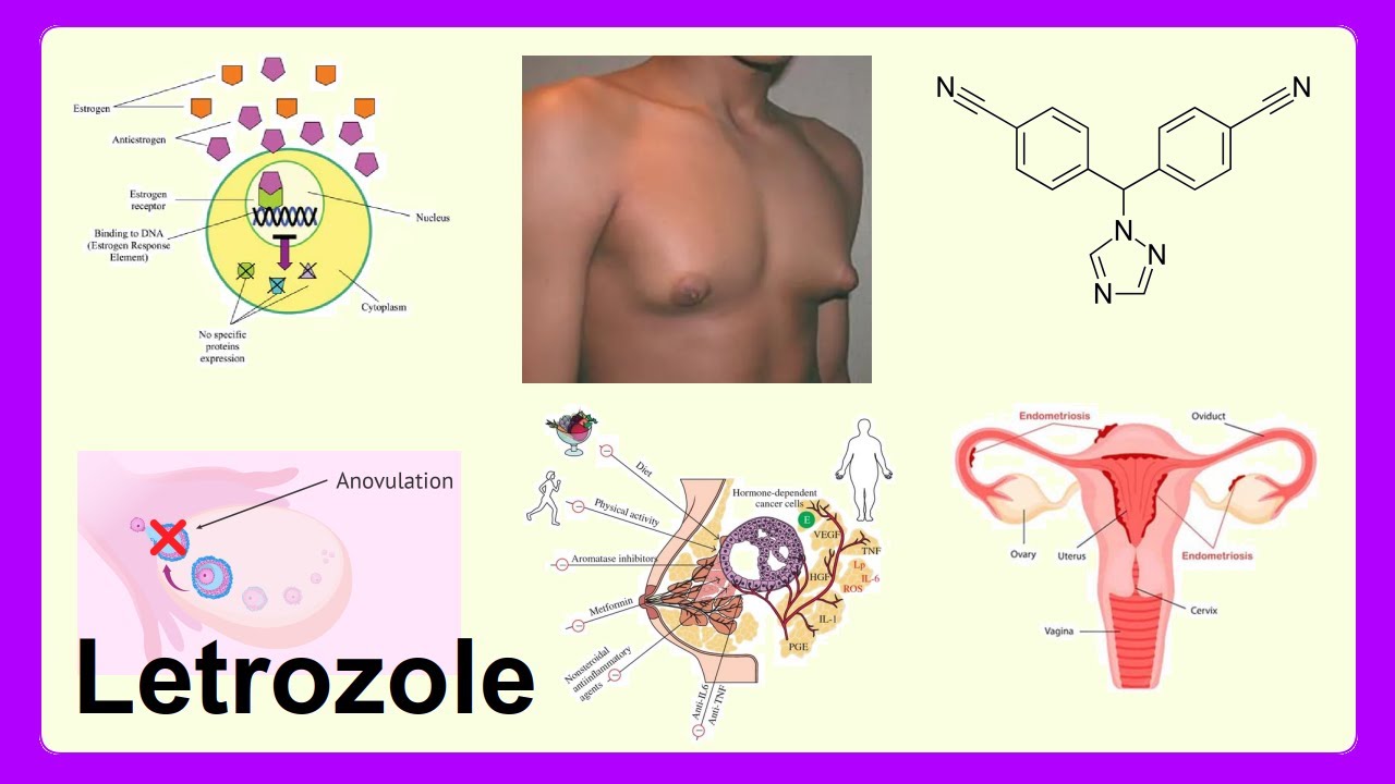 how much is amble tirzepatide Tirzepatide (15mg) save $50 when you buy five how much is amble tirzepatide Tirzepatide (15mg) save $50 when you buy five