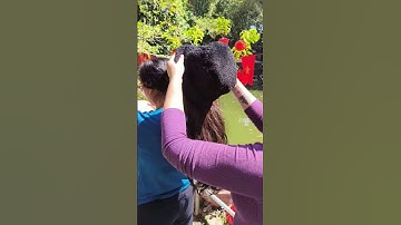 Đội mũ tóc giả dài giữa trời nắng chói chang #mutocgia