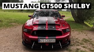 Mustang GT500 Shelby 5.8L 660KM - powodzenia, nie będzie łatwo...