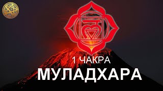 1 чакра муладхара 🔴  Первоэлемент земля 🪬 Таро диагностика чакр  🔥 12 чакр Инна Флейман