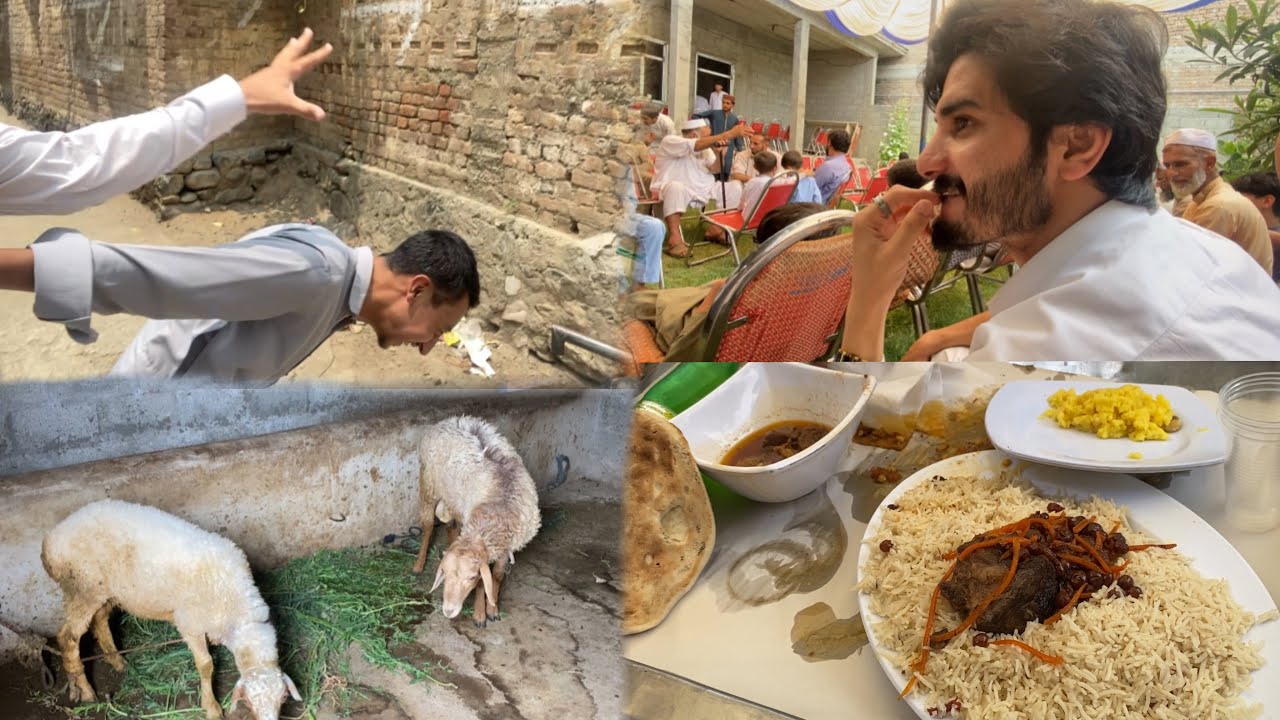 😂So wrze fass hahahaha khirat 😜aw Vlog #mykhanvlog #mykhan #viralvideo