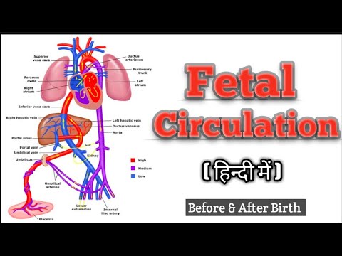 hindi meaning of fetal presentation