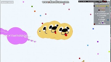 Agar.re Instant merge