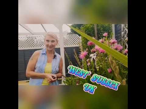ЗЕРКАЛО В САДУ.🌱🌷 Как создать стиль и уют с помощью садового зеркала. ЗЕРКАЛО В САДУ.🌱🌷 Как создать стиль и уют с помощью садового зеркала.