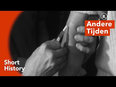 Het Meest Dramatische Paard Ooit? 😂