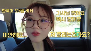 한국어 3개월 공부하고 통역비서 승진한 그녀의 실력은?