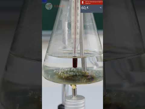 Видео: При точка на кипене на химията?