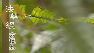 【靜思妙蓮華】法華經方便品 - 用心求法 - 20200430 第269集