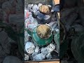 الصديق بو عبعاب تشكن من ناره ابو عبعاب ليبيا الجزائر الاسكندرية البدوية السعودية اولاد علي تونس