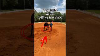 Proximity when rolling your horse’s hind #aqhateamwrangler #horsetrainingtips #horsemanship