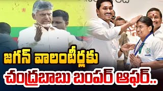 TDP Chief Chandrababu Naidu SAYS GOOD NEWS to CM Jagan's VOLUNTEERS JOBS and There Future | TV5