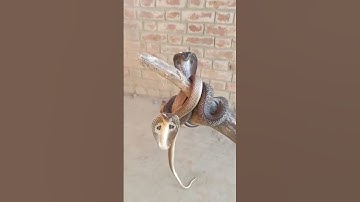 🕉️🚩🙏HAR HAR MAHADEV 🙏🚩🕉️#shorts #shortsfeed #youtubeshorts #trending #viral  #spmahadevbhakt