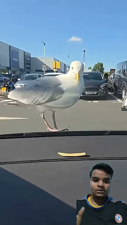 Don't play ⏯️▶️ with food 🥑🥝 #beatbox #tiktok