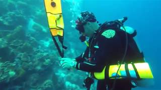 DSMB Deployment   Bonaire June 2018