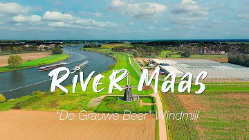 Maas River & Windmill 