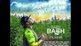 Baby Bash ft South Park Mexican & C-Kan "Solid" (2016) Net Worth
