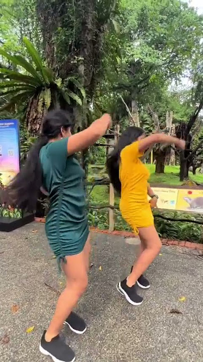 ආලවන්ත ප්‍රේම හාදු..Prema Hadu Anu Kanu Dance 💃  #PremaHadu #anukanu #aktwins