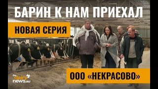 видео: Некрасово. Барин к нам приехал. Урал. 7 сезон, 6 выпуск картинка: Некрасово. Барин к нам приехал. Урал. 7 сезон, 6 выпуск