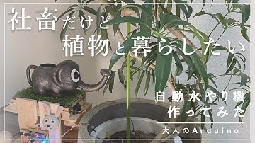 【社畜だけど観葉植物のある暮らしに憧れて】水やり自動化DIYしてみた｜電子工作｜プログラミング｜すのこ