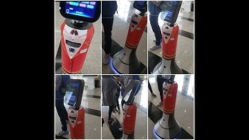 When Foreigners met a ROBOTIC Library Assistant...|CHINA| Zhengzhou University