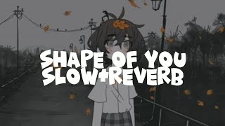 shape of you - Ed Sheeran (slowed+reverb) lyrics (background: popopoka) @popopoka_