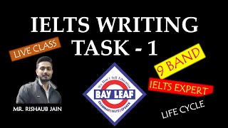 IELTS Recorded Class | Task 1 | Life Cycle of Honey Bee | Rishaub Jain