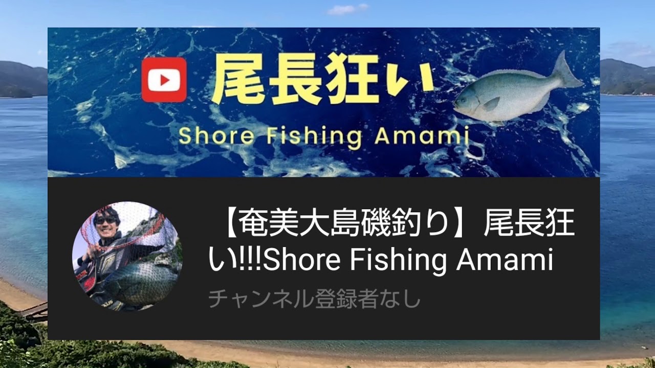 りゅうごとめぐ 奄美を遊べ 유튜브 채널 분석 보고서 Noxinfluencer