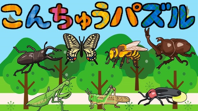 こんちゅうパズル むしのなまえをおぼえよう 虫 昆虫 カブトムシ アゲハ蝶 セミ ホタル クワガタ バッタ ひらがな 幼児向け 知育 勉強 Youtube