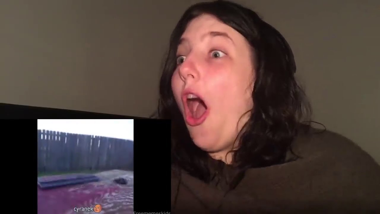 Best Memes Compilation V51 Reaction (ParaReact REUPLOAD)