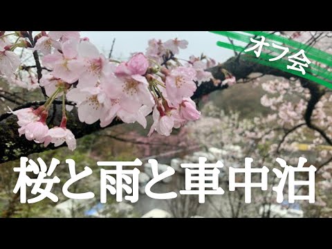 【RVパーク みどりの村】濡れる満開の桜の下 キャンピングカー オフ会に参加しました。ともちゃんねるスティッチ号/車中泊/雨/クレソンジャーニー/秩父【埼玉県小鹿野町】